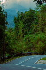 View of a paved forest road at Endau-Rompin National Park in Kuala Rompin, Pahang, Malaysia