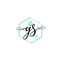 GS signature logo template vector	