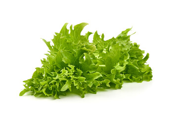 Salad leaf. Lettuce, isolated on white background. High resolution image.