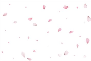 Sakura petals background. Cherry petals backdrop