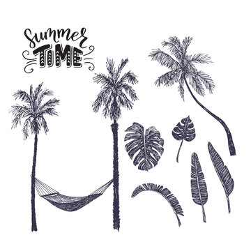 Set of hand drawn illustrations of palm trees, banana and monstera leaves, hammock and hand lettering inscription Summer Time. Sketches of tropical plants, great for photo overlays.