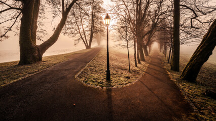 Fototapeta premium Mystic forest path on an autumn morning