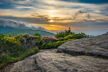 Roan Mountain Cloudy Sky Sunset above flowering rhododendrons on the North Carolina and Tennessee Border