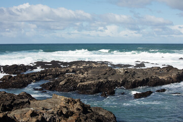 Ocean View - Pacific Coast