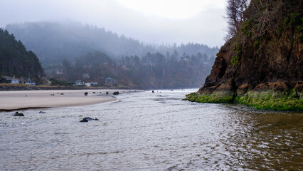 Neskowin ghost forest on the Oregon coast in the Pacific Northwest