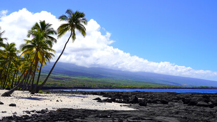 Hawaiian Lava Rock Beach at Puʻuhonua O Honaunau National Historical Park