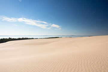 Fototapeta na wymiar dunes by the Baltic Sea in Poland