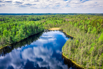 Fototapeta na wymiar Aerial view of the forest and the river in which the sky is reflected. Summer landscape in the forests of Karelia