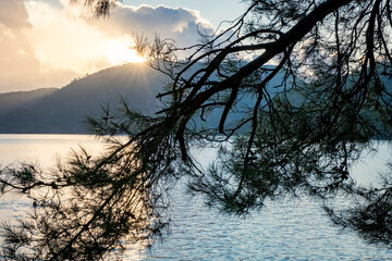 Summer scenery on the Mediterranean coast in Turkey near Marmaris and Icmeler. Just after dawn. View of the bay and mountains through pine branches