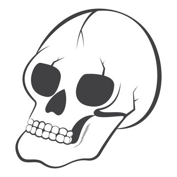 Halloween Skull line art, happy Halloween, Calavera Skull