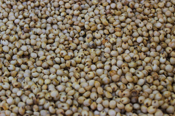 Close-up view of White Sorghum or Jowar Grain on white background