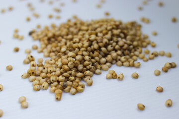 Hand holding a handful of white sorghum or jowar grains with blurred grains background