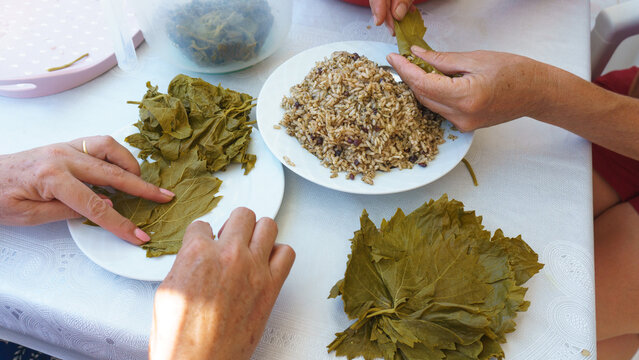 Woman Hands Preparing Wrap Stuffed With Rice Ingredient. Greek Or Turkish Food Yaprak Sarma Or Dolma Preparation. Aegean Food Photography In Turkey. 