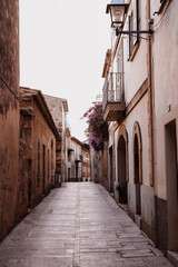 Fototapeta premium kamienica, uliczka, alcudia, mallorca, majorka, baleary, wyspa, zabytek, kamień, valldemossa, monstera, klimat, uliczka, rośliny, kultura, religia, wyspy, wakacje, historia, okiennice, okno, hiszpania