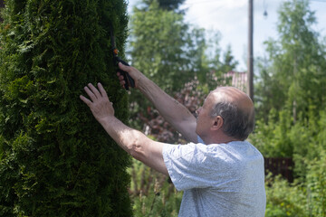 Senior man is trimming bushes in his garden with a big secateur.