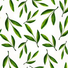 Seamless watercolor olive pattern. Olive watercolor leaves. Green leaves painted in watercolor on a white background. Leaves seamless pattern. Textile print. Plants. Branch with leaves.