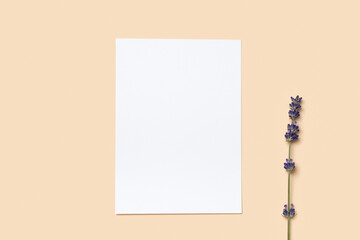 Real photo. Square invitation white greeting card mockup with a a flowers lavender branch. Top view with copy space, pastel light yellow beige background. Template for branding and advertising