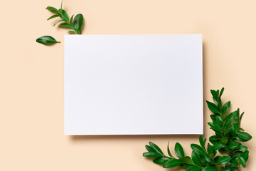Real photo. Square invitation white greeting card mockup with a boxwood branch. Top view with copy space, pastel light yellow beige background. Template for branding and advertising