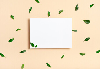Real photo. Square invitation white greeting card mockup with a boxwood branch. Top view with copy...