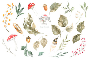 Watercolor woodland illustration of forest plants, berries, flowers, mushrooms, plant, berry, feather. Decorative design elements of forest flora design Isolated objects on white background, frame diy