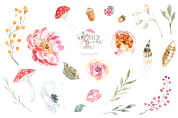 Fototapeta na wymiar Watercolor woodland illustration of forest plants, berries, flowers, mushrooms, plant, berry, feather. Decorative design elements of forest flora design Isolated objects on white background, frame diy