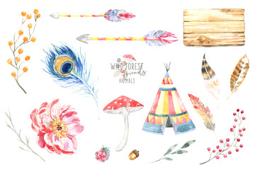 Watercolor woodland illustration of forest plants, berries, flowers, mushrooms, plant, berry, feather. Decorative design elements of forest flora design Isolated objects on white background, frame diy