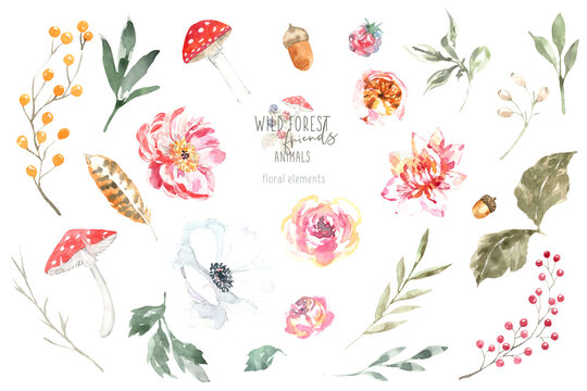 Watercolor woodland illustration of forest plants, berries, flowers, mushrooms, plant, berry, feather. Decorative design elements of forest flora design Isolated objects on white background, frame diy
