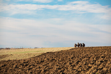 Amish man plowing with his four horses under a cloudy blue sky | Holmes County, Ohio