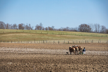Amish man plowing his field with his horses and dog on a sunny spring day in Holmes County, Ohio