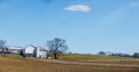 White farm buildings and a lone tree among plowed fields on a sunny spring day under a blue sky | Amish country, Ohio