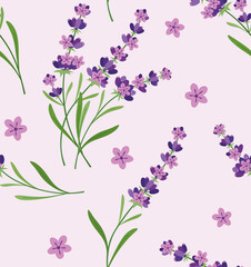 Seamless pattern with Lavender flowers and blossom. Original, hand-drawn background. Floral pattern ideal for fabric, packaging, or wallpaper. Flower Lavandula Lavender. Summer herb pattern.