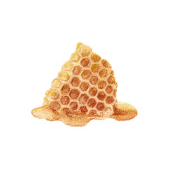 illustration Isolated honeycomb on white background