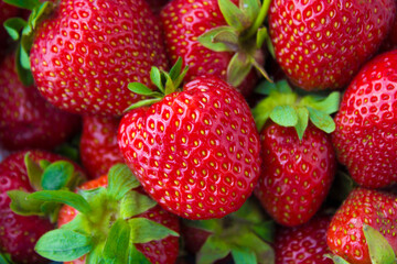 a lot of red strawberries