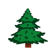 pine tree icon