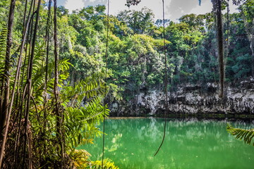 Exit from the water cave in the jungle to a small lake surrounde