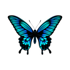 Colorful Butterfly Realistic Colorful Butterfly Vector illustration - Butterfly clipart