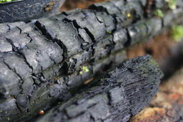 firewood charcoal texture background