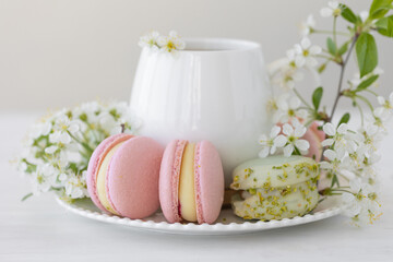 Fototapeta na wymiar Traditional delicious French dessert - sweet homemade macarons on a vintage plate. Colourful tasty macaroons served on a white china with herbal tea. Decorated with fragile cherry tree flowers.