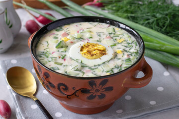 Traditional cold soup okroshka with sausage, radish, green onion and kefir served with boiled egg