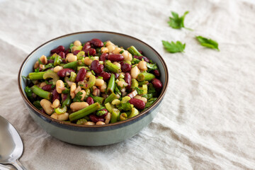 Homemade Three Bean Salad in a Bowl, side view. Copy space.