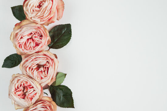 Pink roses on white background. Flat lay. Frame wreath