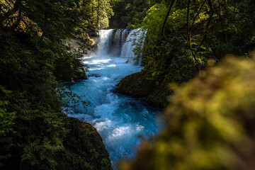 waterfall in the forest