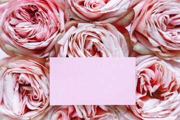 Texture of pink rose buds tightly folded background with pink paper card. Florist template