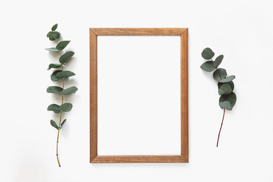 Wood frame on white background with green eucalyptus branches