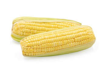Corn isolated on white background with clipping path