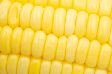 Close up Raw corn kernels in rows.