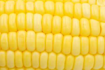 Close up Raw corn kernels in rows.