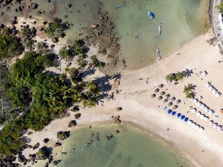 Drone top view of beautiful stretch of beach with mangrove vegetation and coconut trees - Morro de São Paulo, Bahia, Brazil