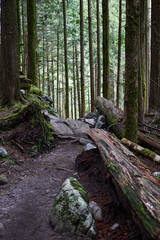 Golden Ears Provincial Park
As one of the largest parks in the province, Golden Ears Provincial Park is prized for its recreational opportunities. The extensive system of trails within the park provid