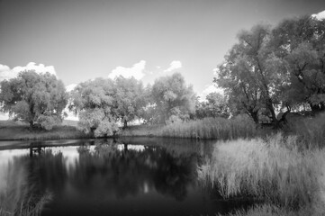 Infrared Black & White Photography